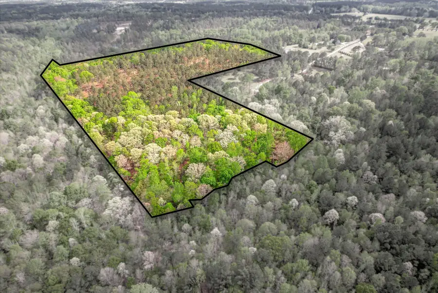 575 Rabbit Pen Drive, Appling, GA 30802 - #3