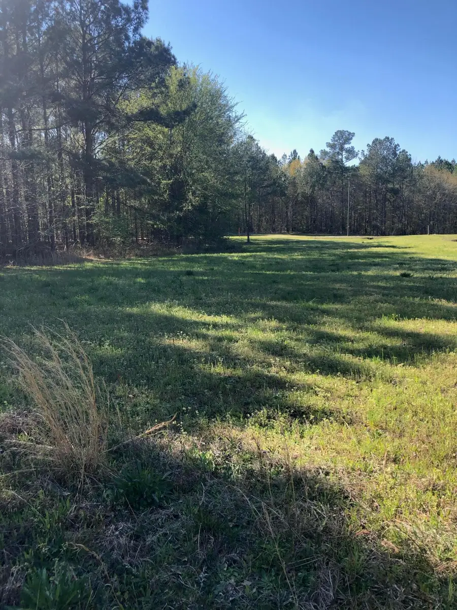 4.17 Acres Starr Hinson Road, Thomson, GA 30824 - #2