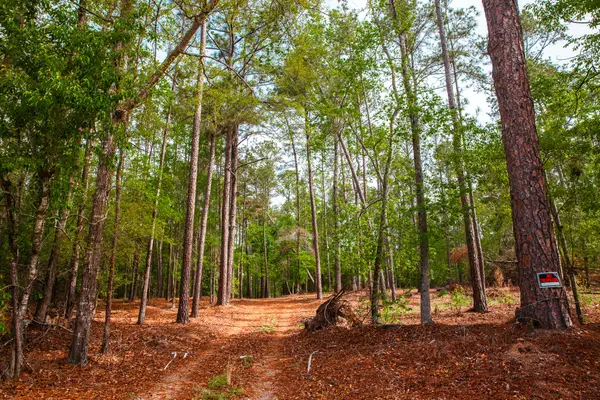 6011 Old Union Road, Harlem, GA 30814