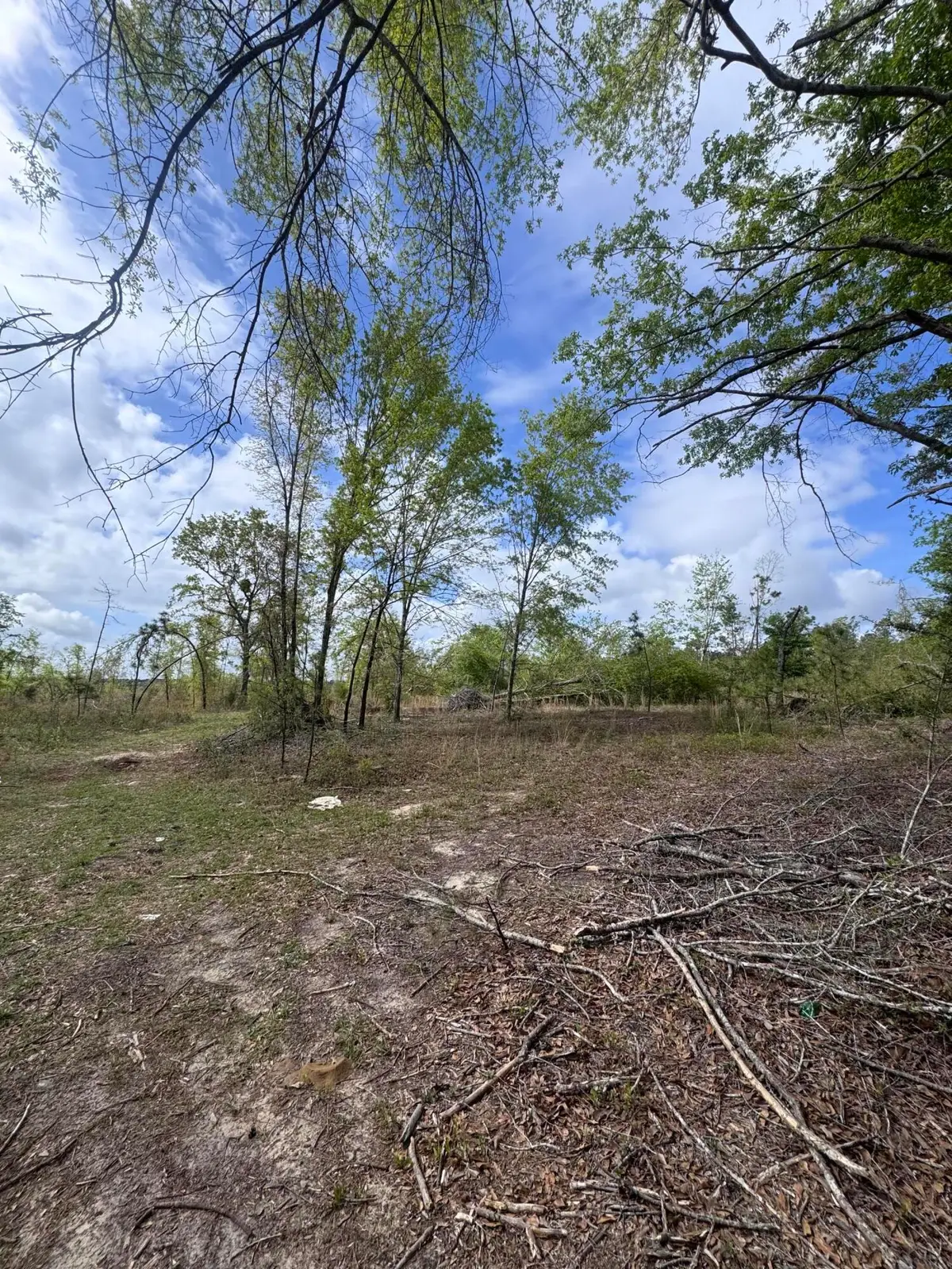 1508 Hephzibah - Mcbean Road, Hephzibah, GA 30815 - #1