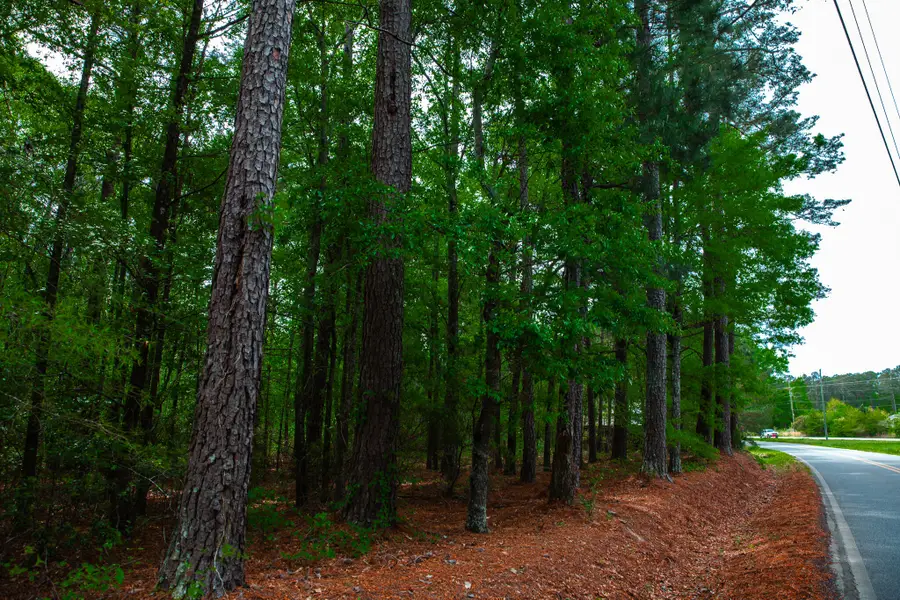 1223 Appling Harlem Road, Harlem, GA 30814 - #3