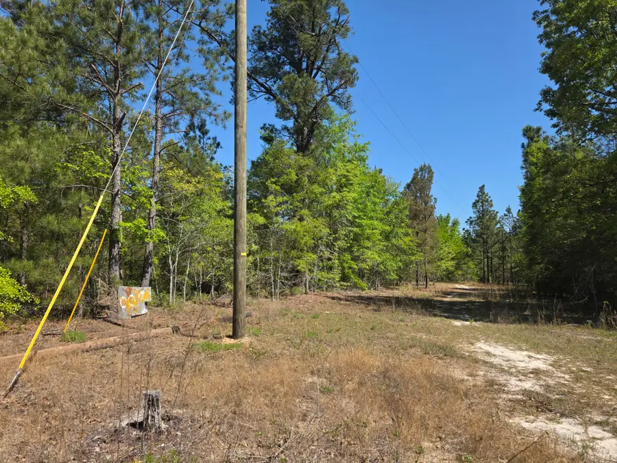 32a Briarwood Drive, Williston, SC 29853 - #2