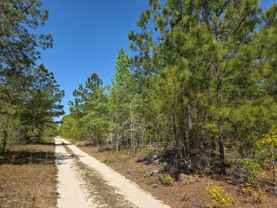 Lot 1 Briarwood Drive, Williston, SC 29853 - #3