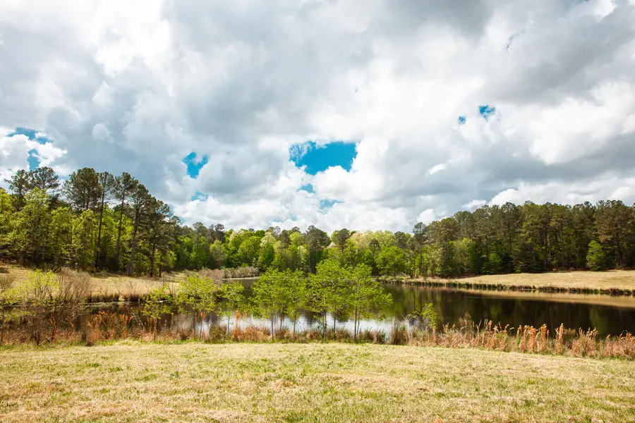 00 Ralph Goolsby Road, Lincolnton, GA 30817 - #3