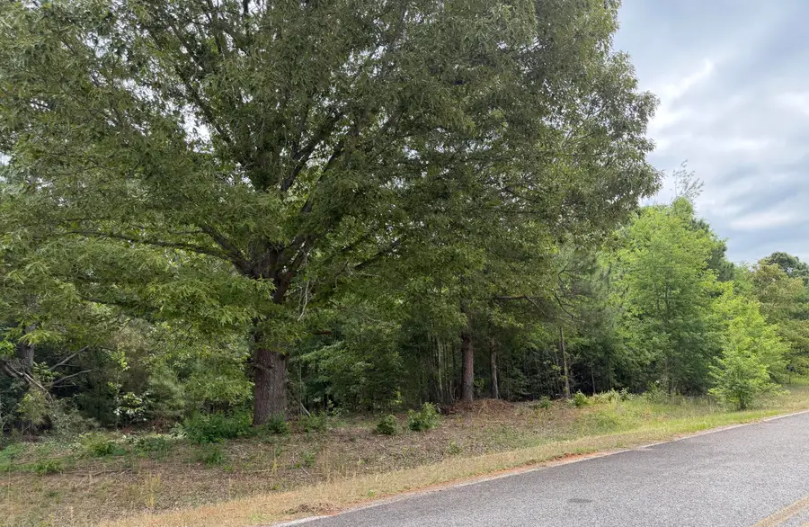 0 Sylvan Grove Road, Stapleton, GA 30823 - #2