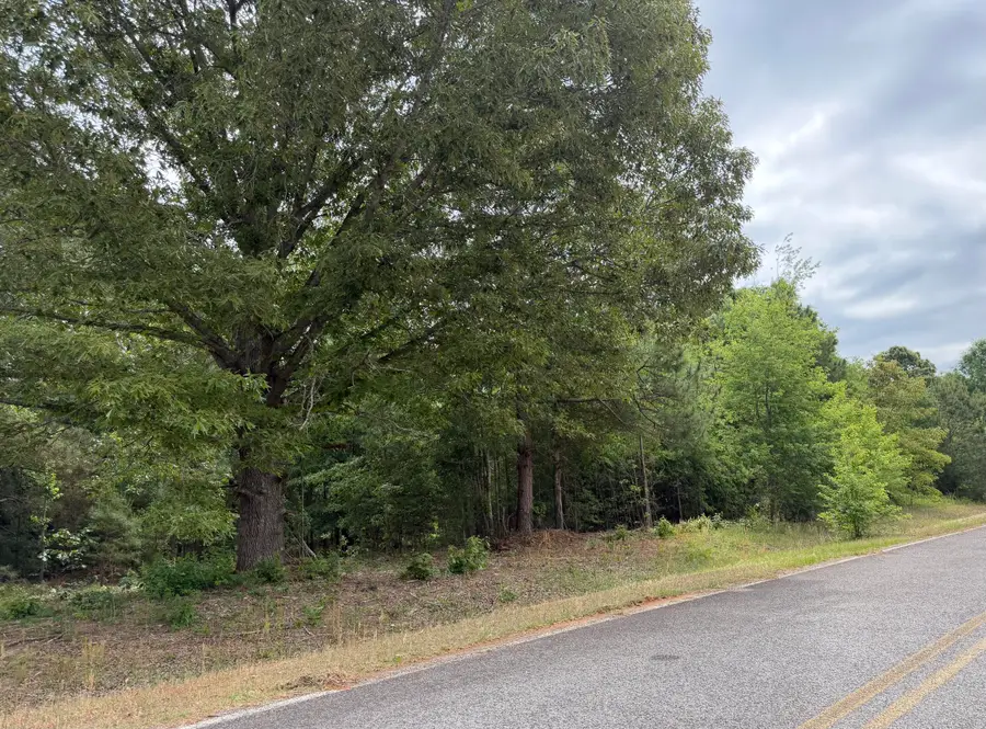 0 Sylvan Grove Road, Stapleton, GA 30823 - #3