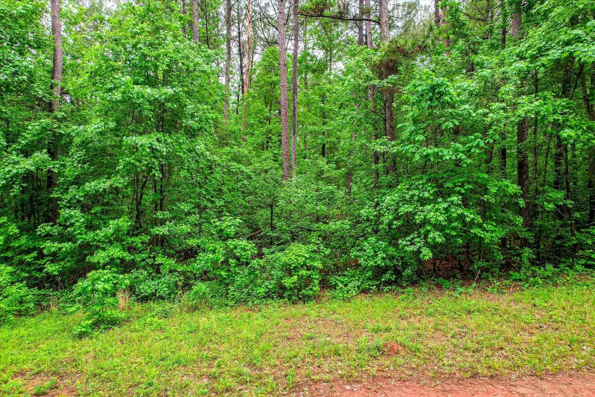 1622 Hinton Wilson Road, Harlem, GA 30814 - #1