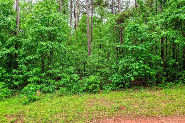 1622 Hinton Wilson Road, Harlem, GA 30814