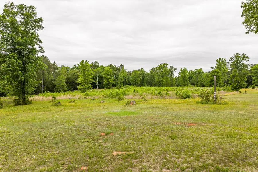 3776 Mt Zion Church Road, Lincolnton, GA 30817 - #2