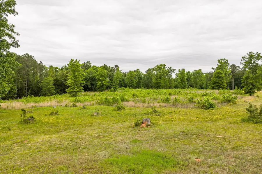 3776 Mt Zion Church Road, Lincolnton, GA 30817 - #3