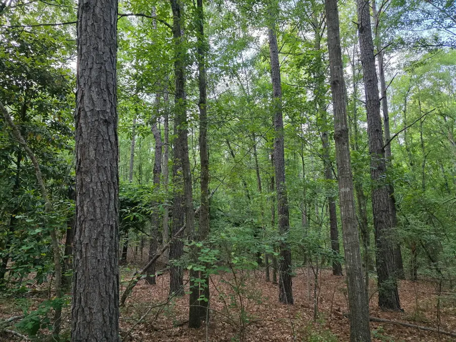 11a Woodberry Lane, North Augusta, SC  - #2