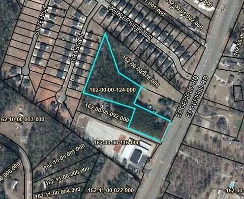 000 Edgefield Road, Trenton, SC 29847 - #1