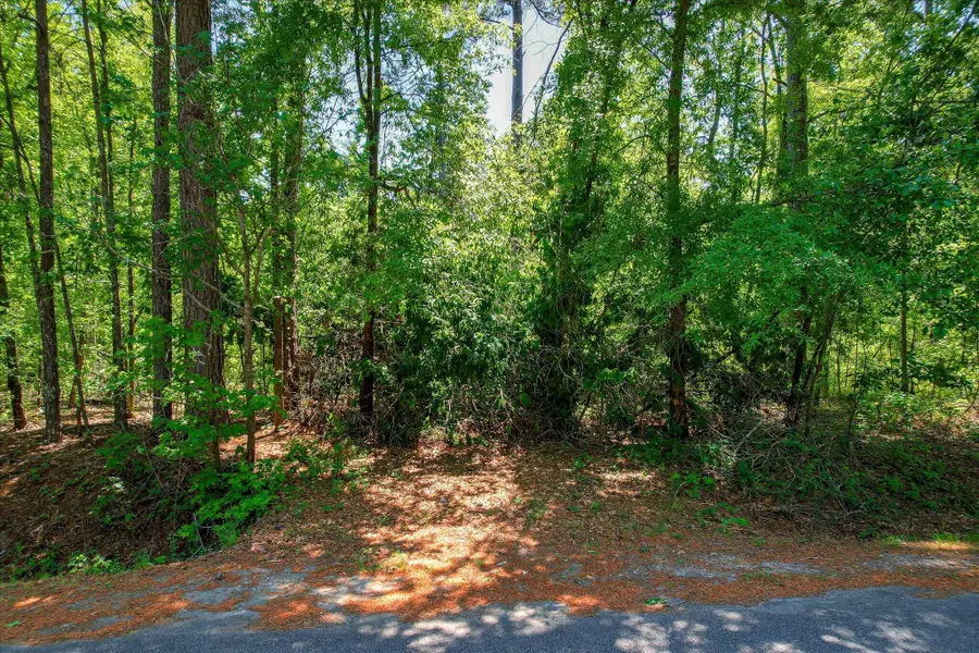6340 Browns Road, Harlem, GA 30814 - #2