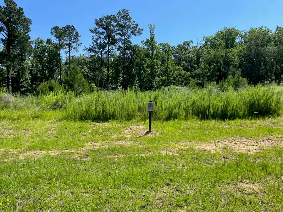 731 Campana Drive, Evans, GA 30809 - #2