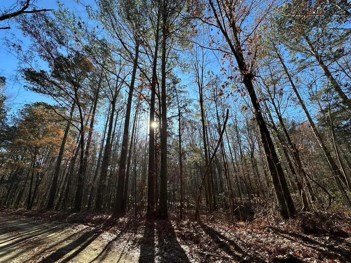LOT 8 Saggus Road, Washington, GA 30673 - #1