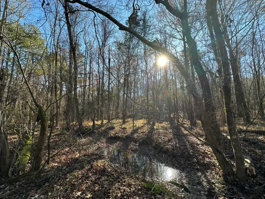LOT 8 Saggus Road, Washington, GA 30673 - #2