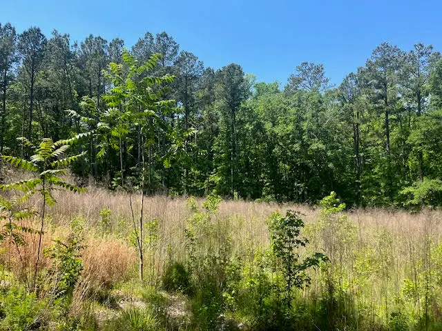 0000 Dooly Springs, Lincolnton, GA 30817 - #3