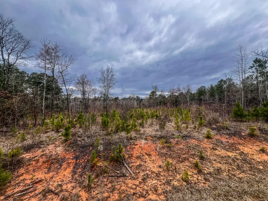 1080 Serenity Pointe Drive, Lincolnton, GA 30817 - #2