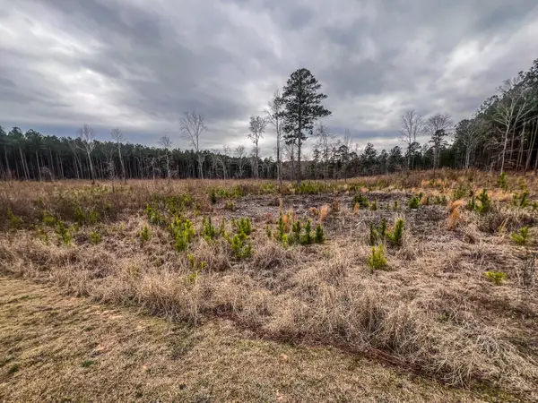 1016 Hidden Lake Court, Lincolnton, GA 30817