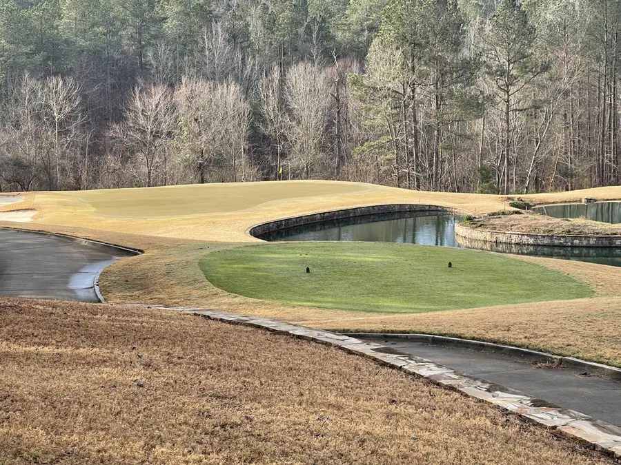 Lot L-22 Militia Loop, North Augusta, SC 29860 - #3