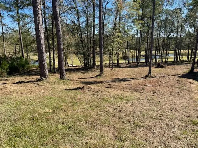 Lot M-46 Mary Johnson's Court, North Augusta, SC 29860 - #2