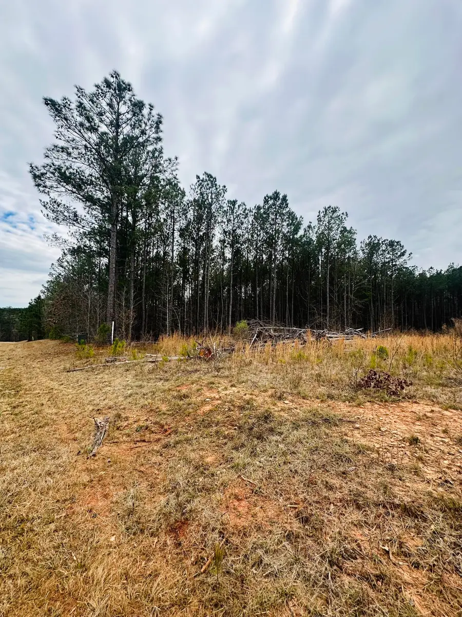 LOT 14 Wisteria Drive, Lincolnton, GA 30817 - #2