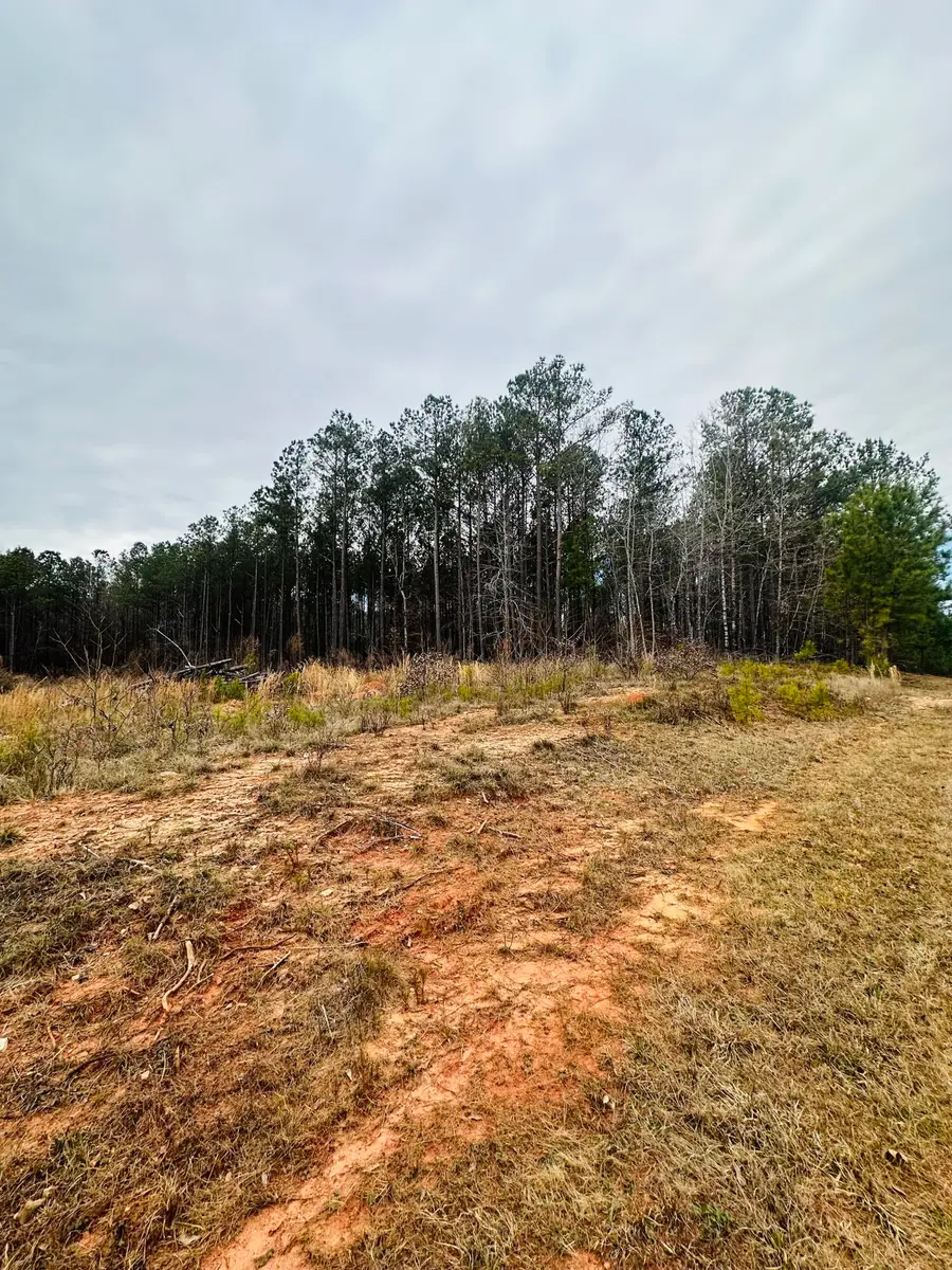 LOT 14 Wisteria Drive, Lincolnton, GA 30817 - #3