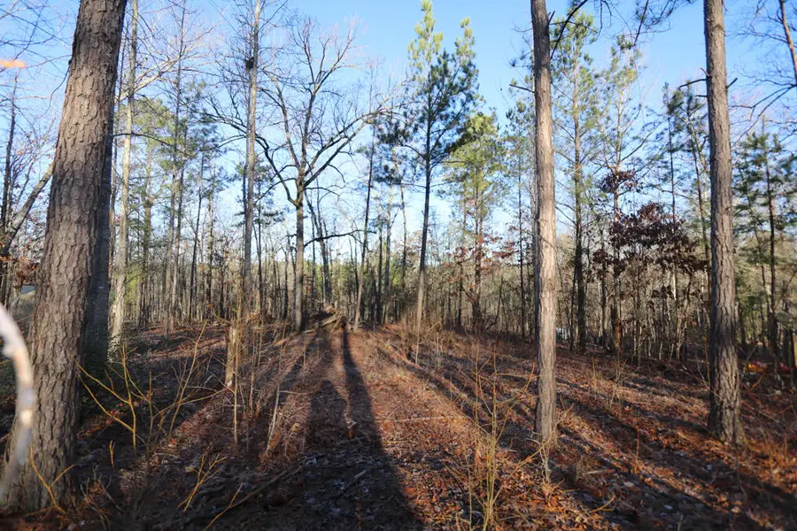 1102 Dogwood Drive, Lincolnton, GA 30817 - #2