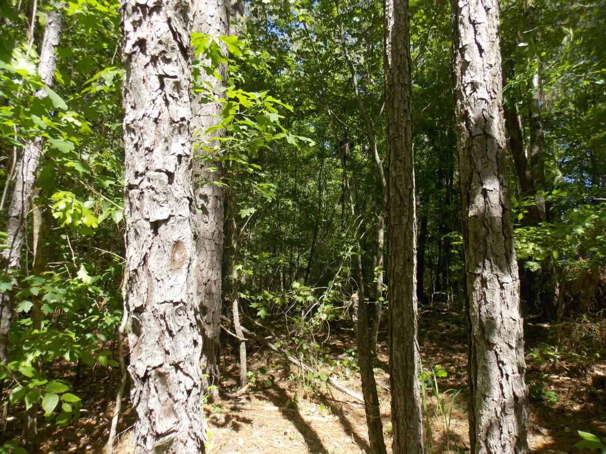 12 Doe Run, Lincolnton, GA  - #1