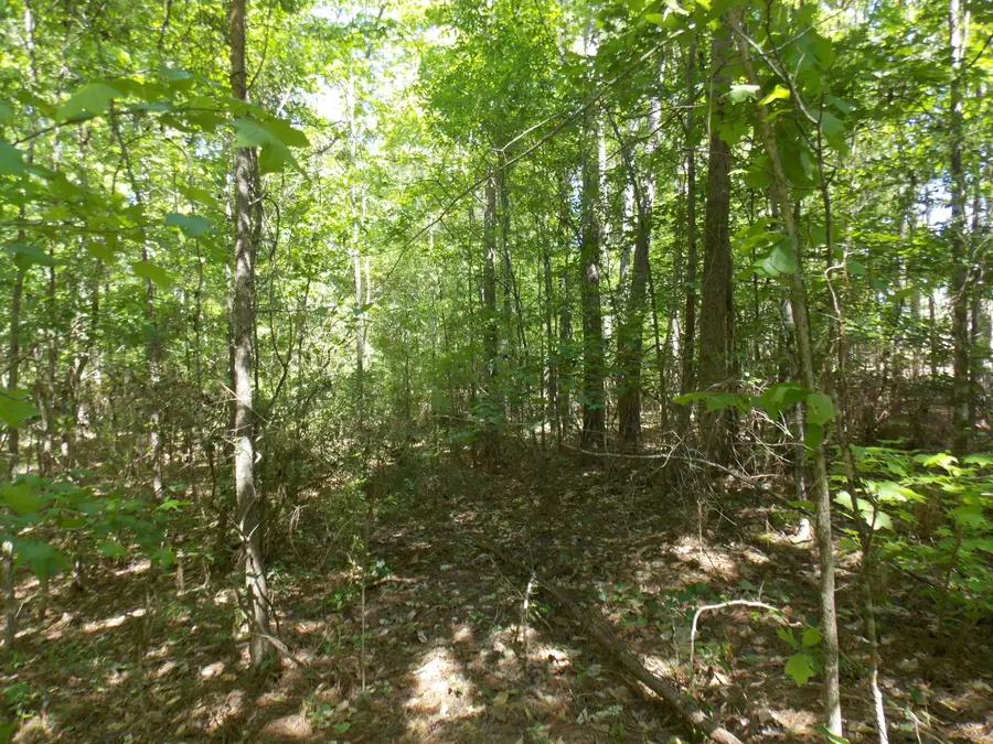 12 Doe Run, Lincolnton, GA  - #2