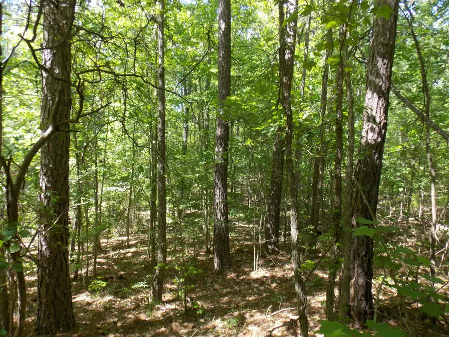 12 Doe Run, Lincolnton, GA  - #3