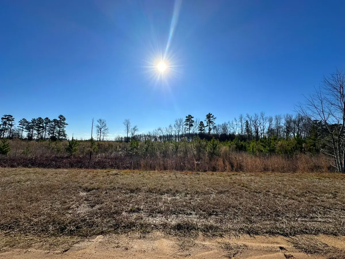 LOT 6 Triangle Road, Louisville, GA 30434 - #1