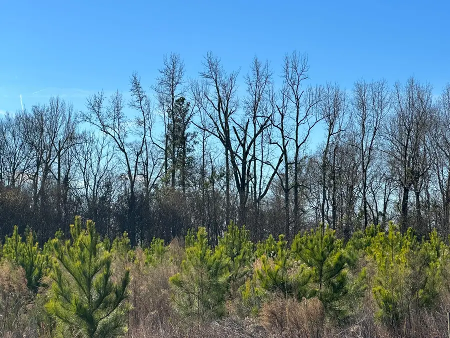 LOT 6 Triangle Road, Louisville, GA 30434 - #3