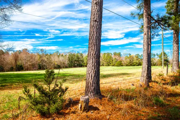 3510 Mistletoe Rd, Appling, GA 30802