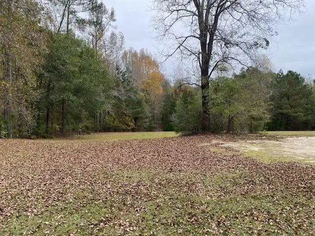 6384 Cobbham Road, Appling, GA 30802 - #1