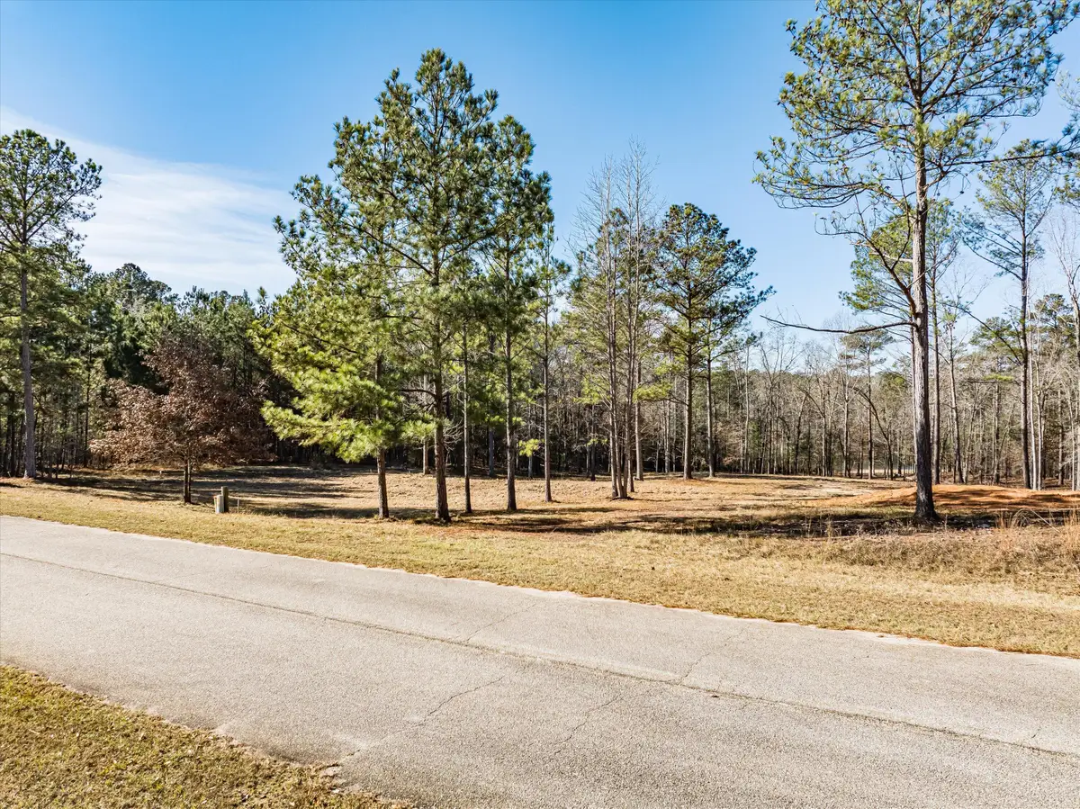 06 Savannah Bay Drive, Lincolnton, GA 30817 - #1