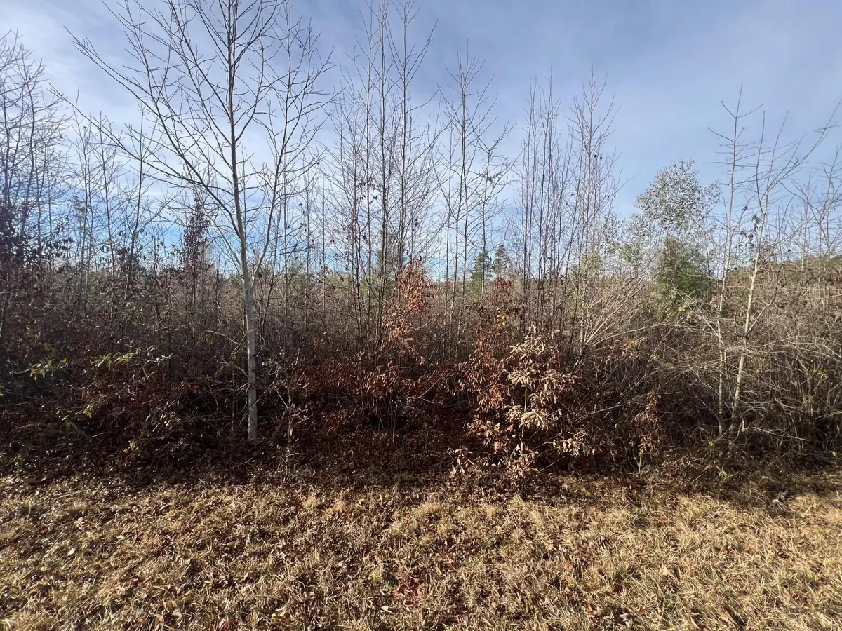 LOT4 Hephzibah Church Road, Lincolnton, GA 30817 - #1