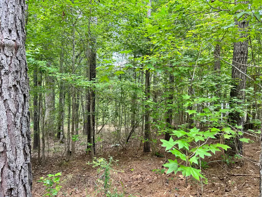 L9 B18 Grandview Drive, McCormick, SC 29835 - #3
