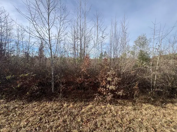 LOT3 Hephzibah Church Road, Lincolnton, GA 30817