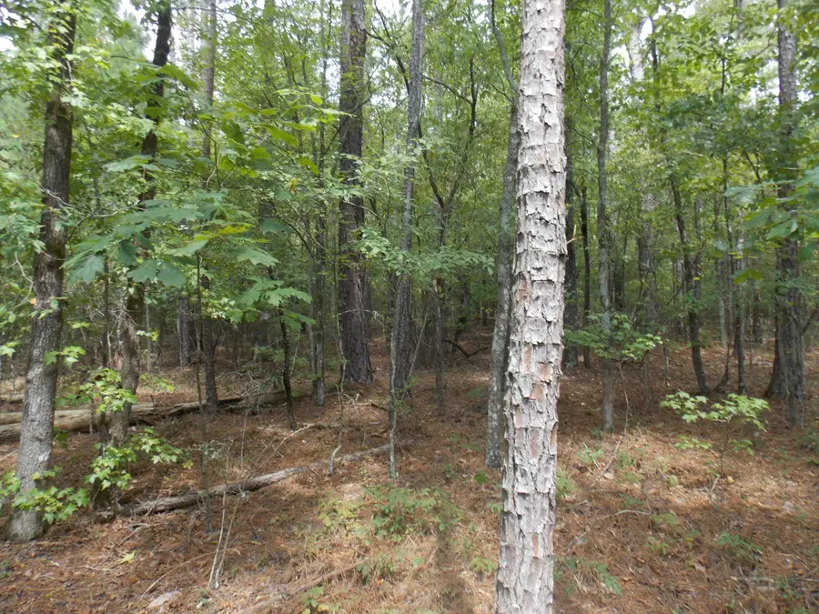 11 Doe Run, Lincolnton, GA 30817 - #2