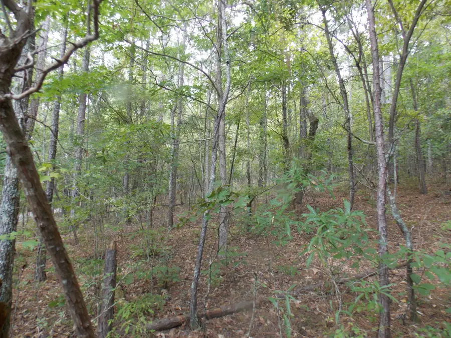 11 Doe Run, Lincolnton, GA 30817 - #3