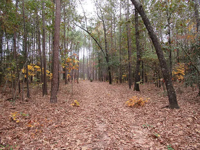 0 Twin Pines Rd., Keysville, GA 30816 - #1