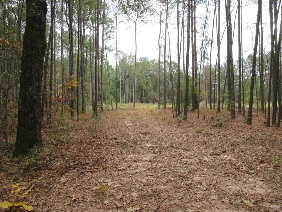 0 Twin Pines Rd., Keysville, GA 30816 - #2
