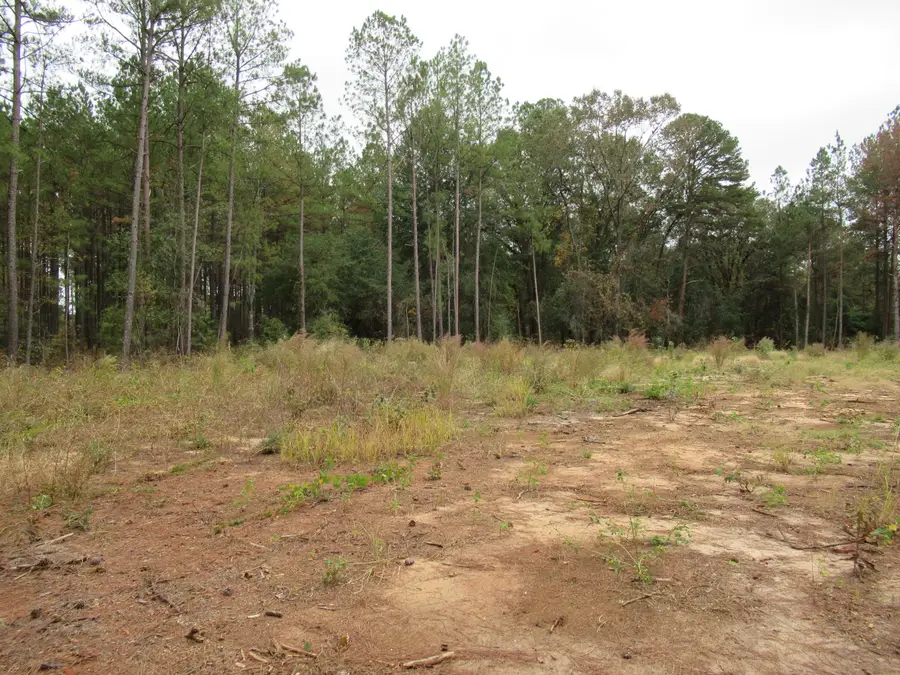 0 Twin Pines Rd., Keysville, GA 30816 - #3