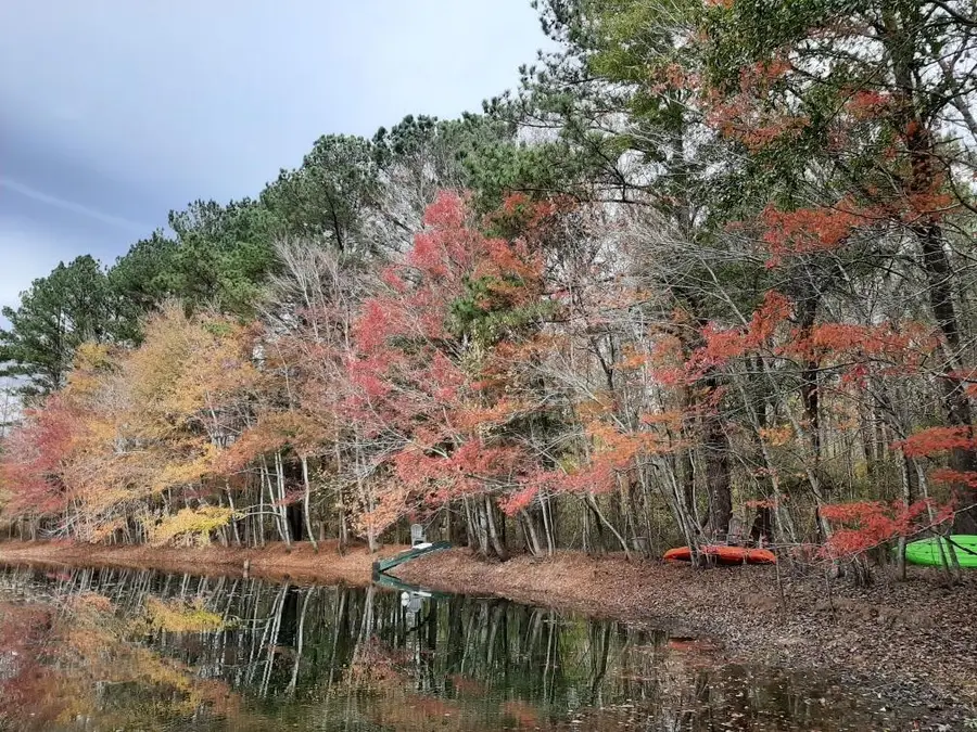 905 Neptune Trail, Appling, GA 30802 - #2