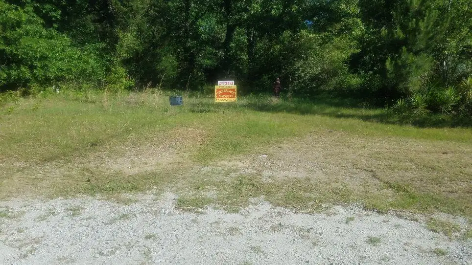 205 Pecan Drive, Blythe, GA 30805 - #1