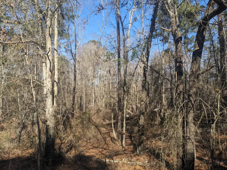 Address Withheld By Seller, Appling, GA 30802 - #2