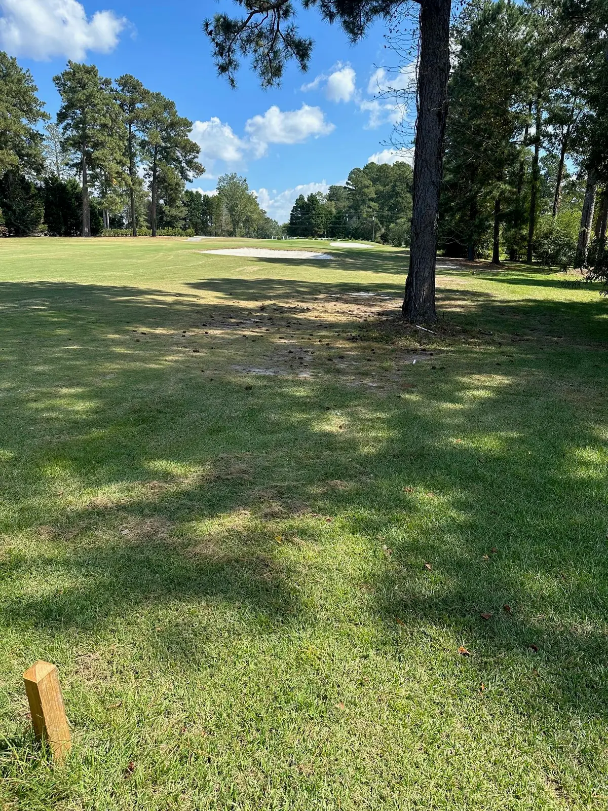 000 NW South Lake Drive, Thomson, GA 30824 - #1