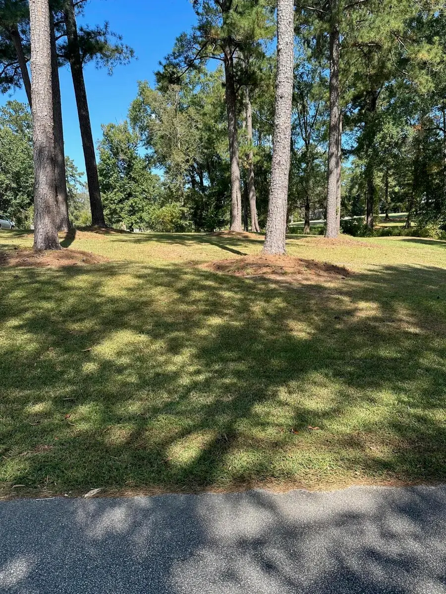 000 NW South Lake Drive, Thomson, GA 30824 - #2