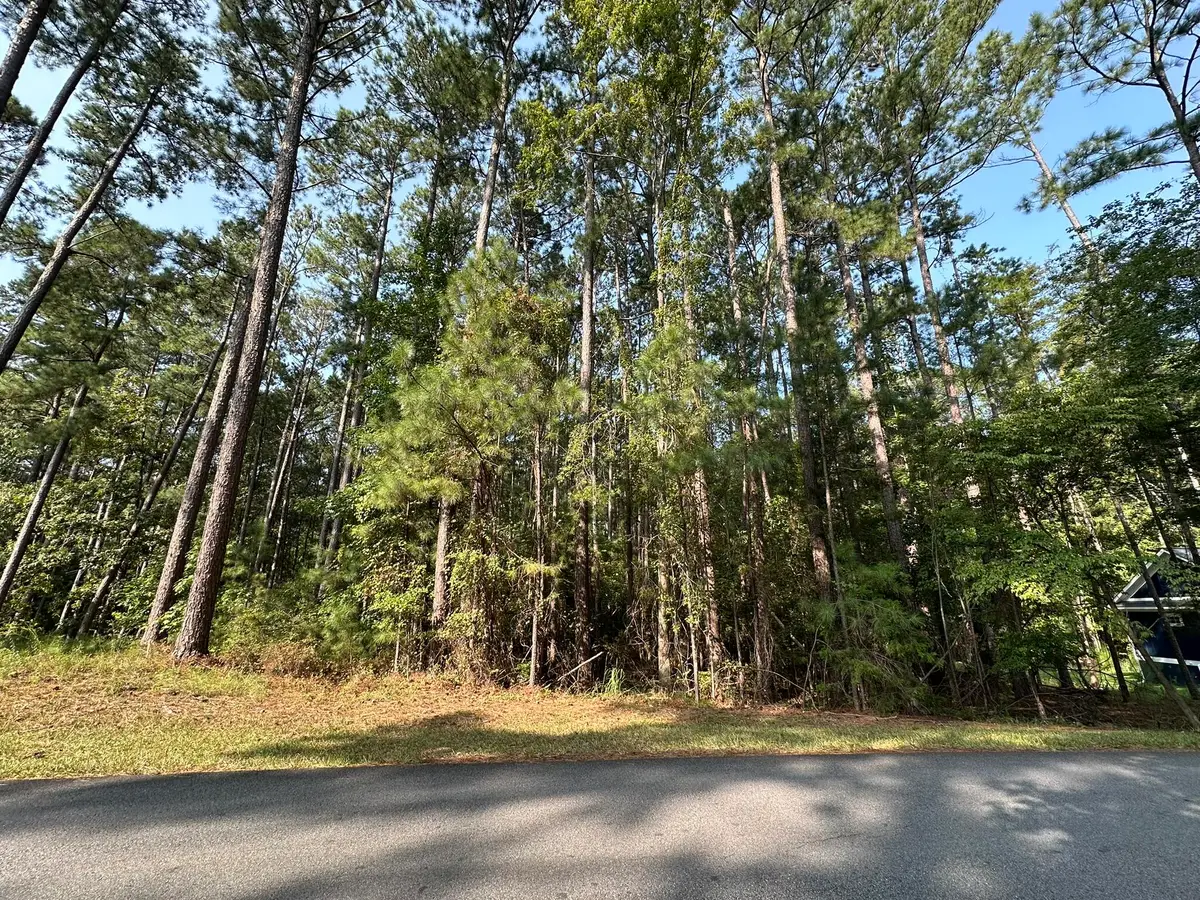 B14 L5 Tara Drive, McCormick, SC 29835 - #1